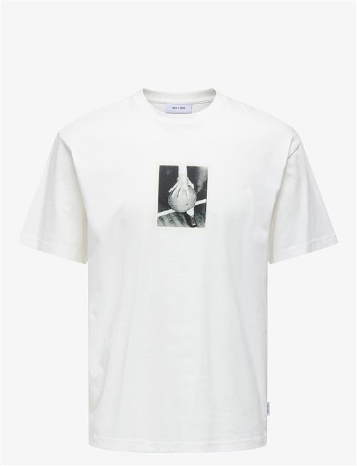 ONLY & SONS | Onsdash Rlx Ss Tee Vd | XS