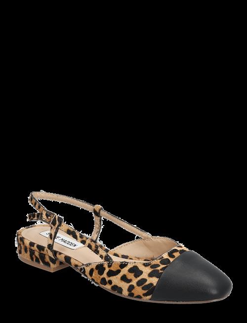 Steve Madden | Belinda-L Ballerina | 38
