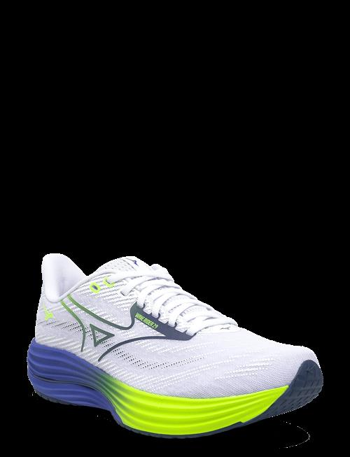 Mizuno | Wave Rider 29(M) | 40.5
