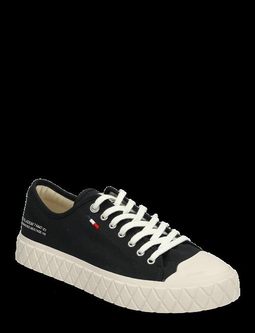 Palladium | Palla Ace Org | 41