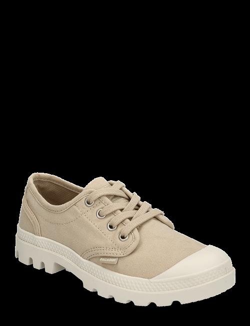 Palladium | Pampa Oxford | 37