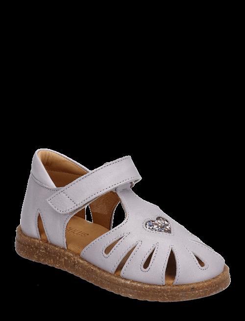 ANGULUS | Sandals - Flat  - Closed Toe | 20