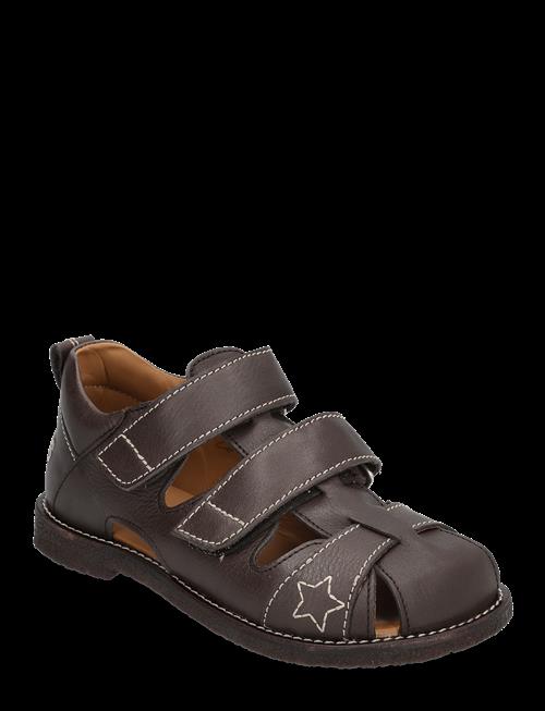 ANGULUS | Sandals - Flat  - Closed Toe | 31