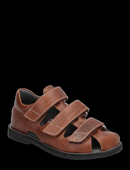 ANGULUS | Sandals - Flat  - Closed Toe | 29