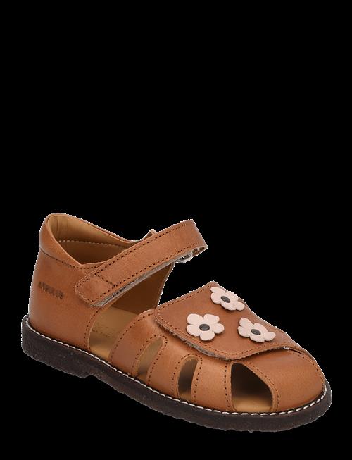 ANGULUS | Sandals - Flat  - Closed Toe | 21