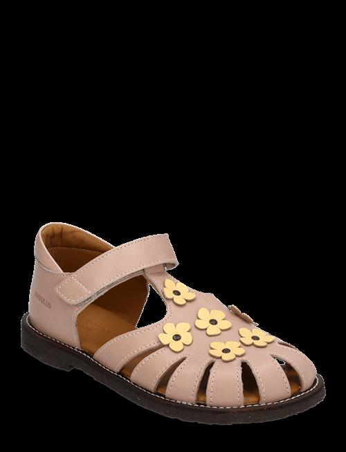 ANGULUS | Sandals - Flat  - Closed Toe | 25