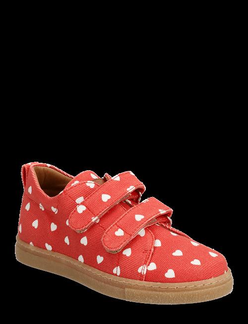 ANGULUS | Shoes - Flat - With Velcro | 30