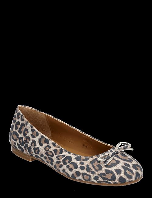 ANGULUS | Ballerina | 32