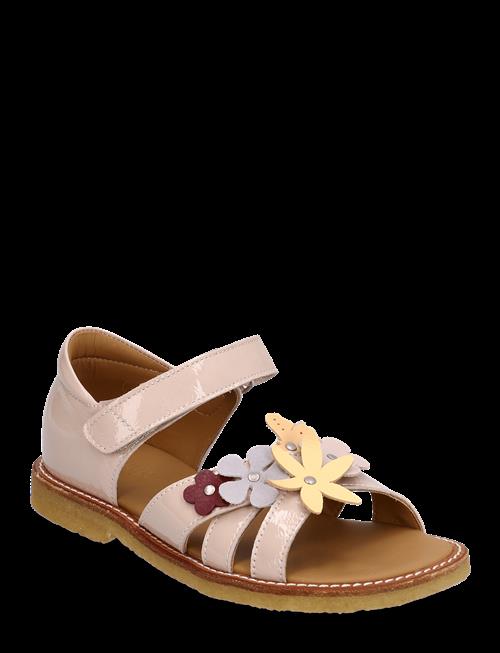 ANGULUS | Sandals - Flat  - Open Toe - Clo | 25