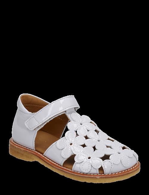 ANGULUS | Sandals - Flat | 25