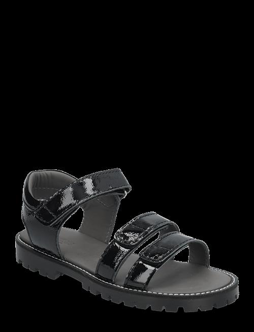 ANGULUS | Sandals - Flat  - Open Toe - Op | 35