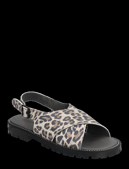 ANGULUS | Sandals - Flat  - Open Toe - Op | 37
