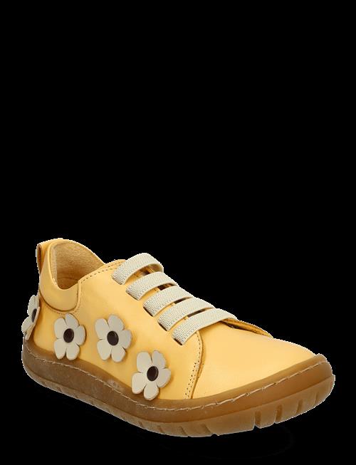 ANGULUS | Shoes - Flat - With Lace | 31