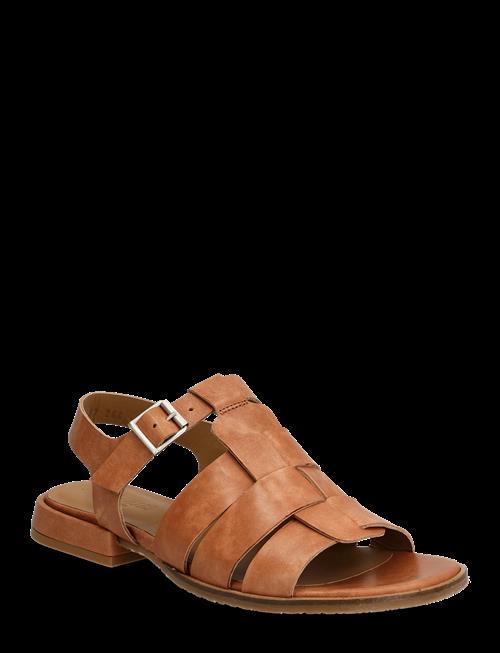 ANGULUS | Sandals - Flat  - Open Toe - Op | 42