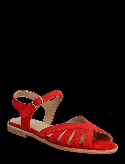 ANGULUS | Sandals - Flat  - Open Toe - Op | 38