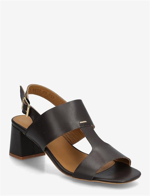 ANGULUS | Sandals - Block Heels | 40.5