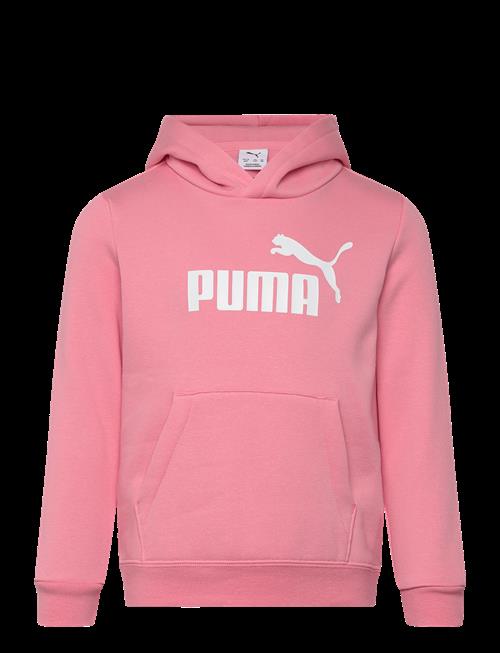 PUMA | Ess No. 1 Logo Hoodie Fl Ps | 98