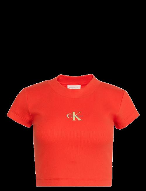 Calvin Klein Jeans | Monologo Baby Rib Tee | XXS