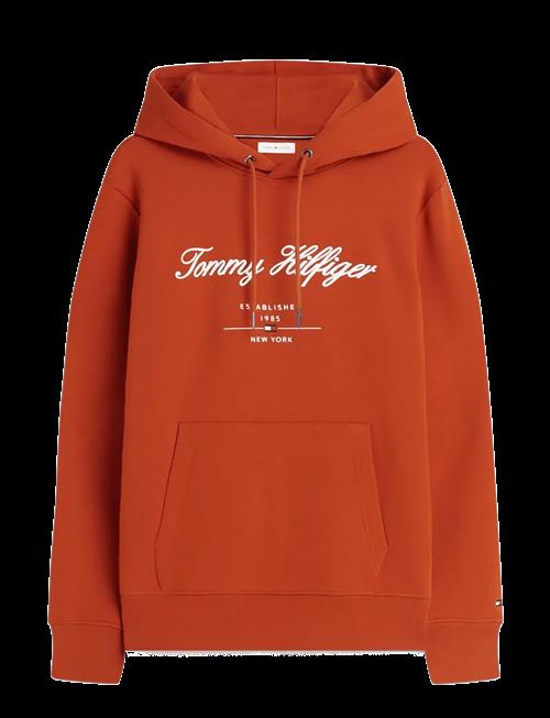 Se Tommy Hilfiger | Script Logo Hoody | S hos Booztlet