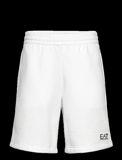 EA7 | Shorts | M