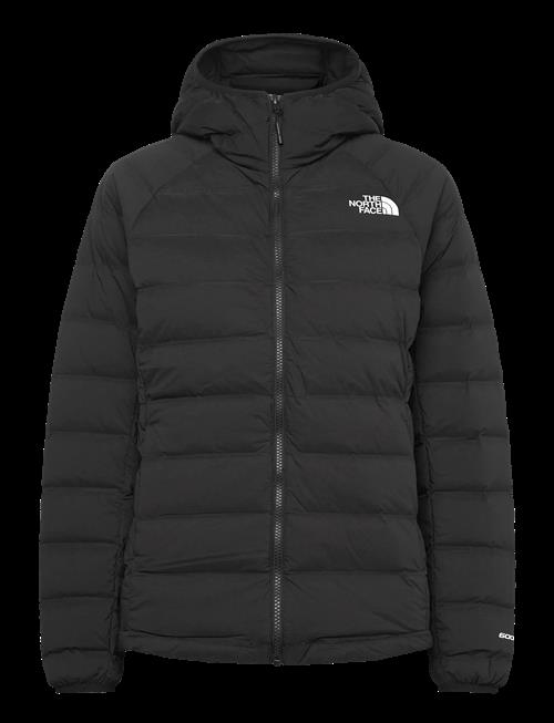 The North Face | W Abseil Stretch Down Hoodie | L