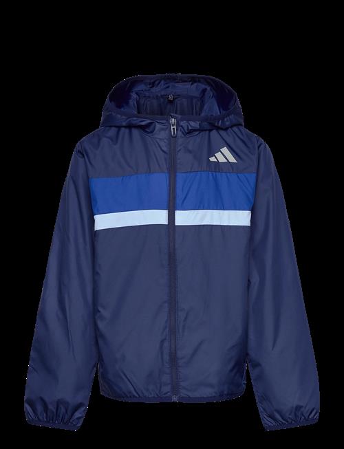 adidas Sportswear | J Tiberio Wb | 176