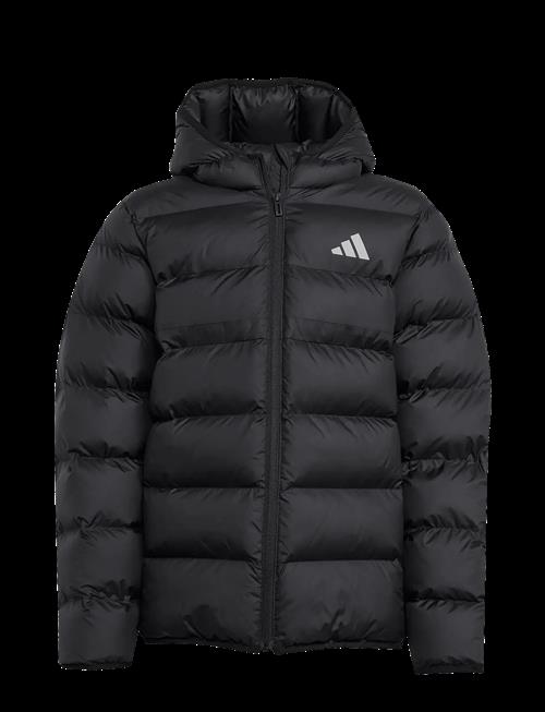 adidas Sportswear | J Sd Jkt | 152