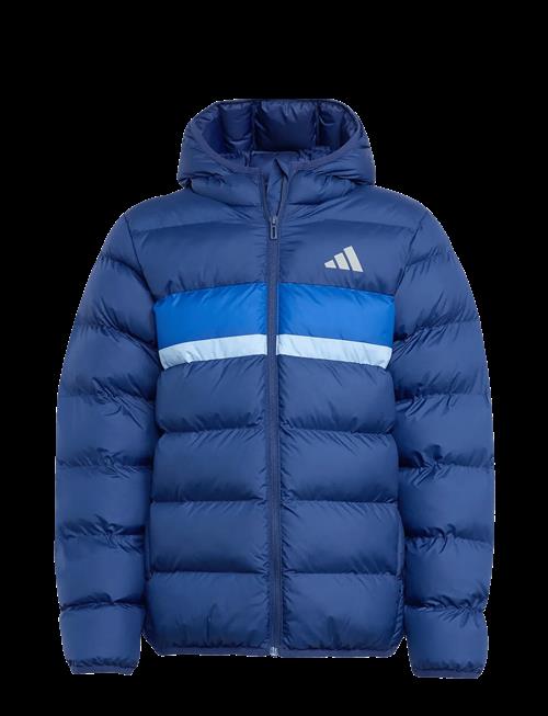 adidas Sportswear | J Sd Jkt | 140