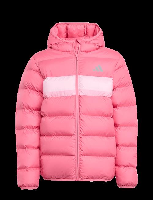 adidas Sportswear | J Sd Jkt | 164