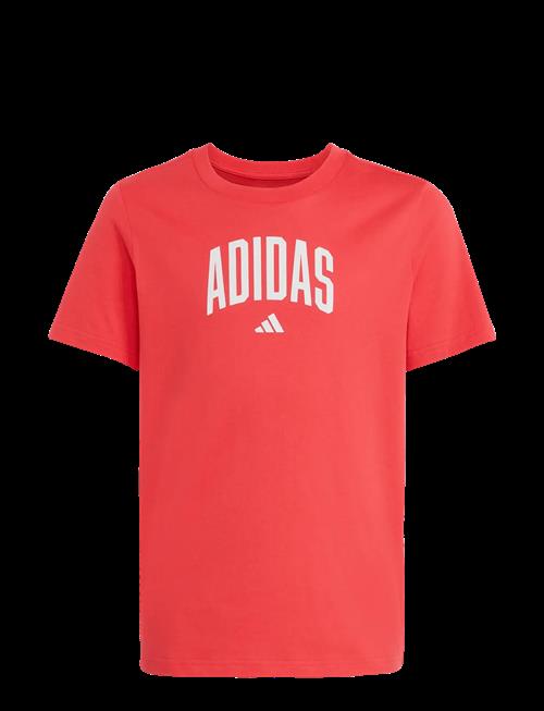 adidas Sportswear | J Colleg T | 140