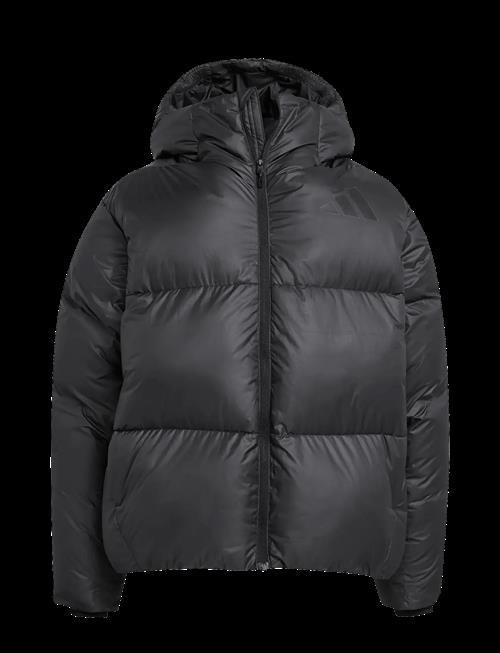adidas Sportswear | J Z.n.e. Jkt | 176