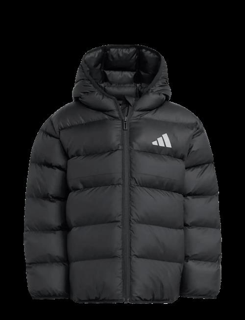 adidas Sportswear | Lk Sd Jkt | 110
