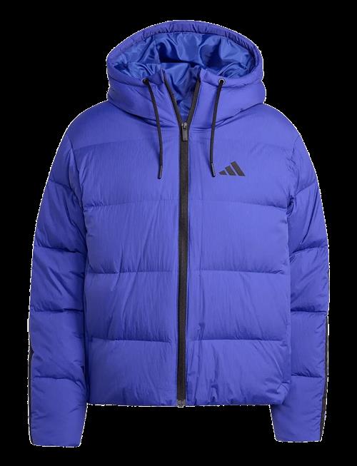 adidas Sportswear | W Ess 3S P D Ho | XXL