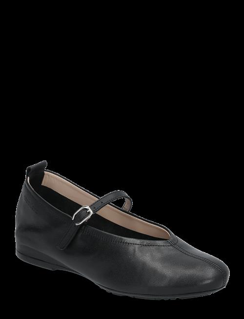 Wonders | Gracia | 40