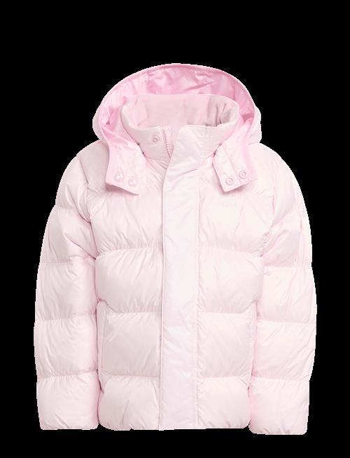 adidas Originals | Down Jacket | 116
