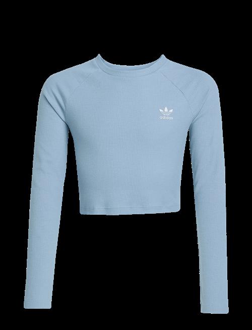 adidas Originals | Rib C Ls Tee | 164