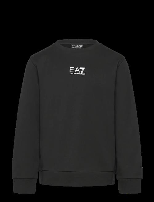 EA7 | Sweatshirt | 104