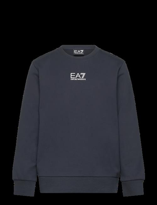 EA7 | Sweatshirt | 104