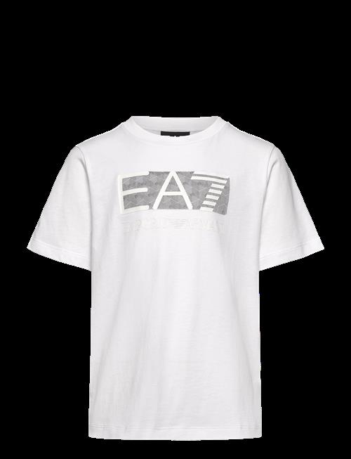 EA7 | T-Shirt | 116