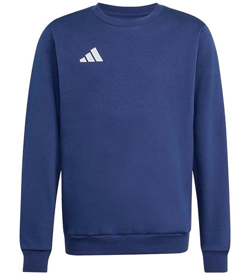 adidas Performance Sweatshirt - Ent26 Topy - Tenabl/White