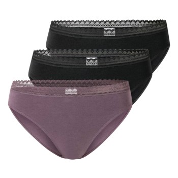 Schiesser Trusser 3P Modern Lace Rio Briefs Violet/Sort bomuld 46 Dame