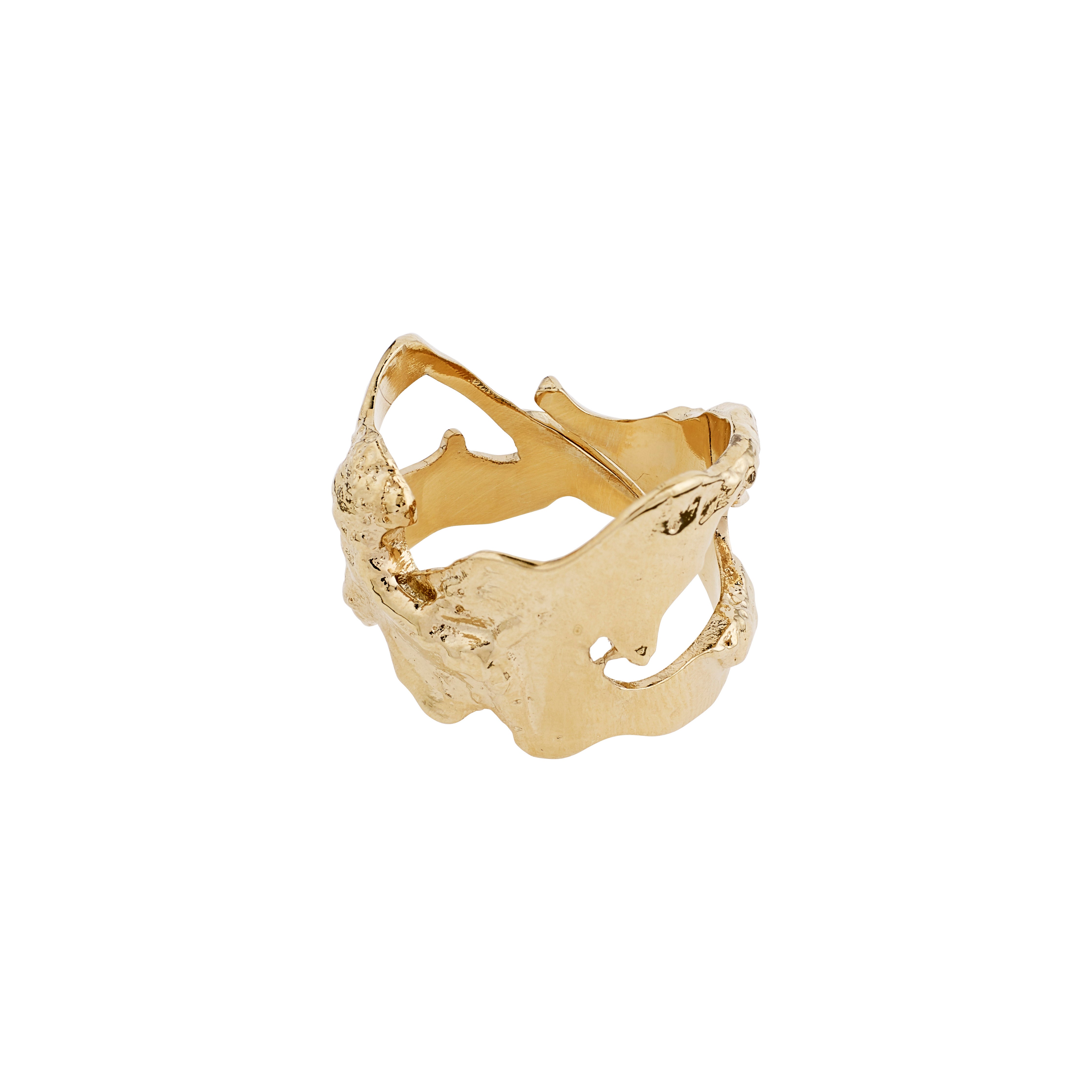 Pilgrim COMPASS organisk ring guldbelagt