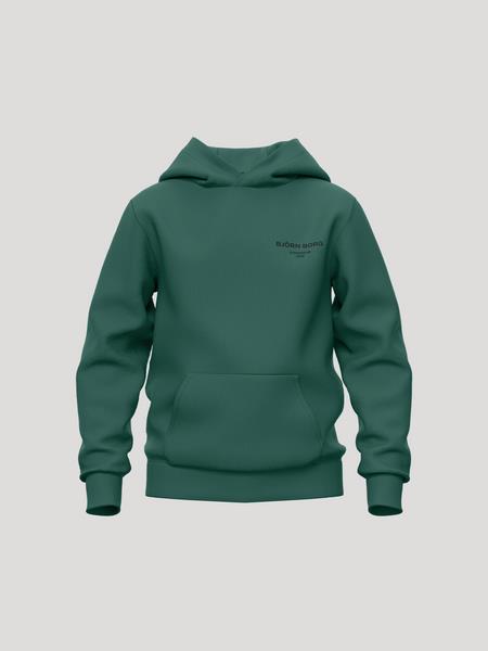 Björn Borg Borg Essential 1 Hoodie Grøn, 122-128