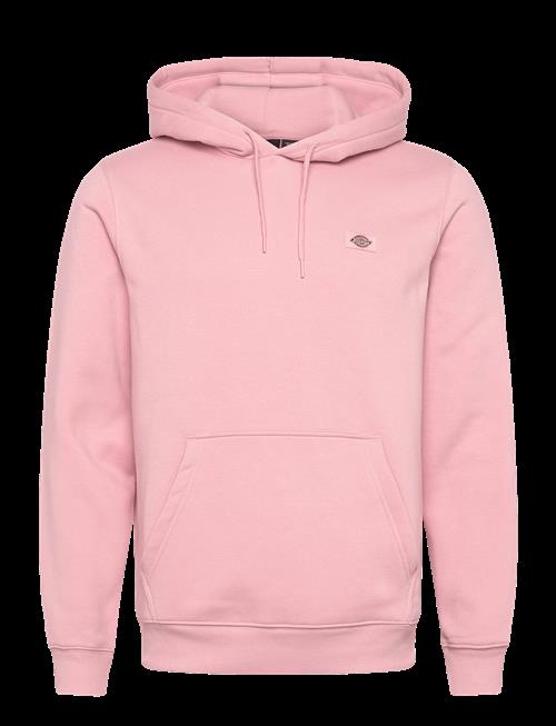 Dickies | Oakport Hoodie | XXL