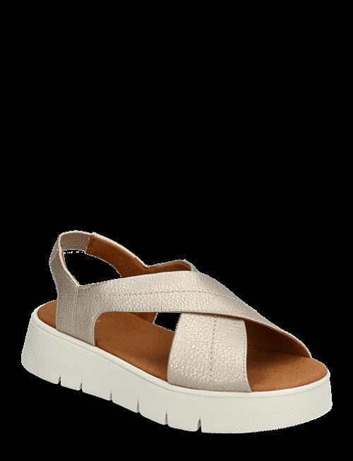 GEOX | D Dandra 40 A | 39