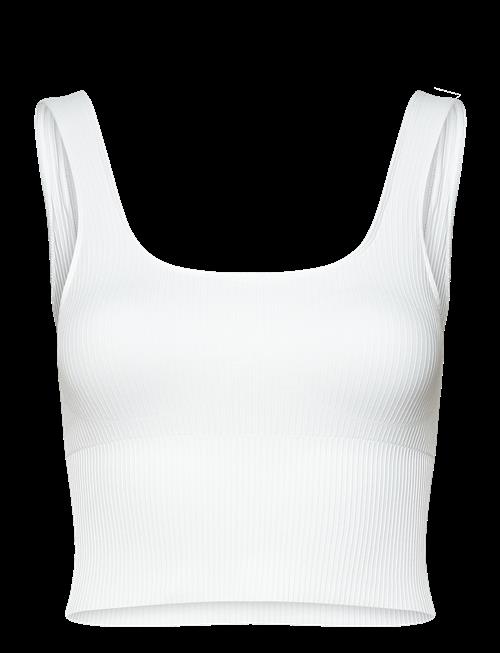 aim´n | Ribbed Seamless Shaping Bralette | M