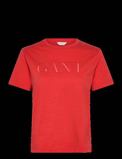 Gant | Reg Tonal Graphic Ss T-Shirt | XXL