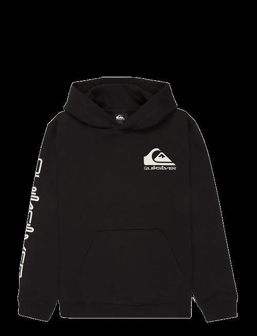 Quiksilver | Omni Logo Hoodie Youth | 14