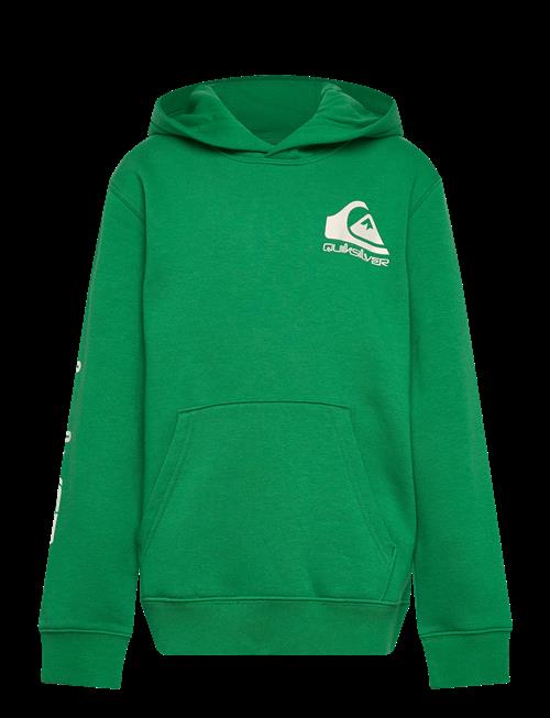 Quiksilver | Omni Logo Hoodie Youth | 176
