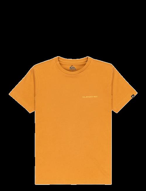 Quiksilver | Ev Desert Waves Ss Youth | 14